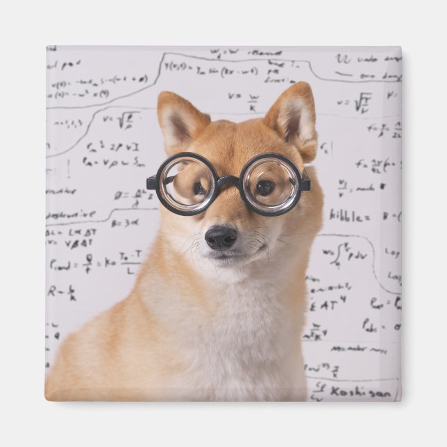 Professor Barkley 2 Inch Square Magnet (Front)