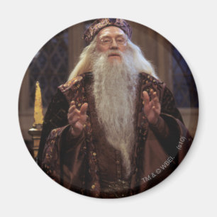 Professor Dumbledore Magnet