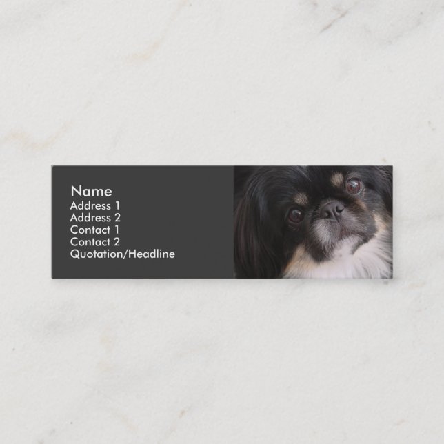 Profile Card Template - Pekingnese Dog (Front)