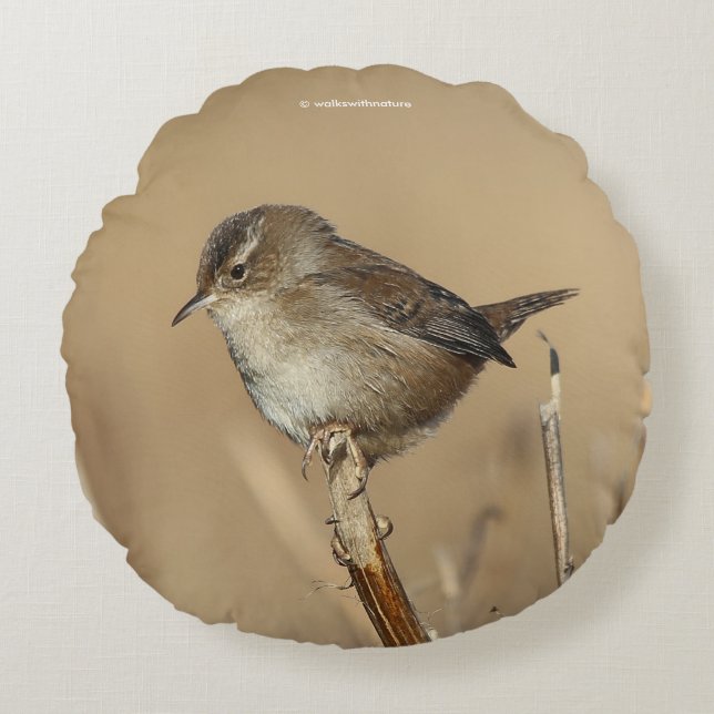 Profile of a Beautiful Marsh Wren Round Cushion (Front)