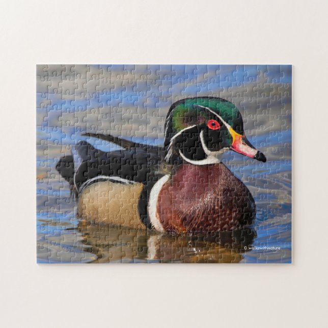 Profile of a Handsome Wood Duck on the Water Jigsaw Puzzle (Horizontal)