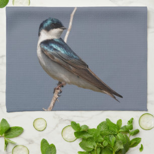 Profile of a Male Tree Swallow in the Sun Tea Towel