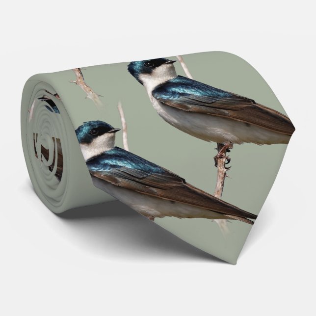 Profile of a Male Tree Swallow in the Sun Tie (Rolled)