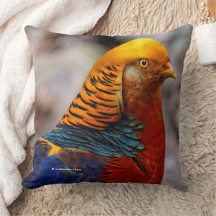 Profile of a Red Golden Pheasant Cushion