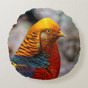 Profile of a Red Golden Pheasant Round Cushion