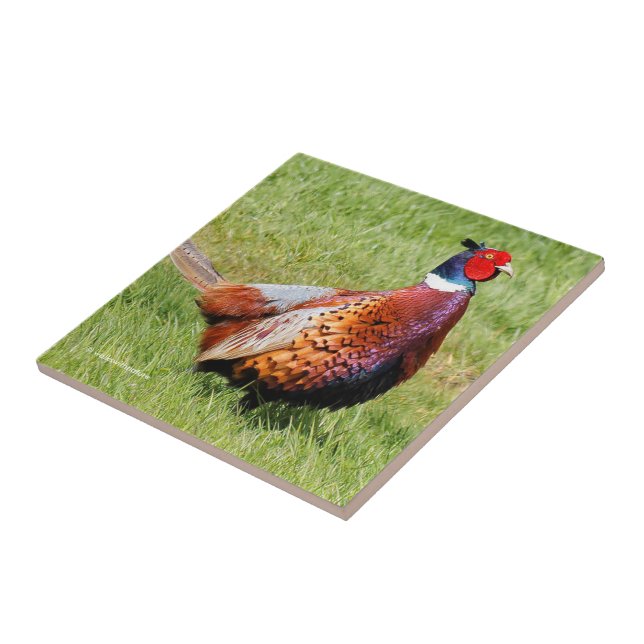 Profile of a Ring-Necked Pheasant Ceramic Tile (Side)