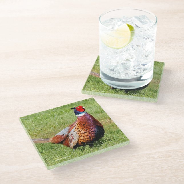 Profile of a Ring-Necked Pheasant Glass Coaster (Angled)