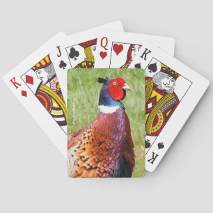 Profile of a Ring-Necked Pheasant Playing Cards
