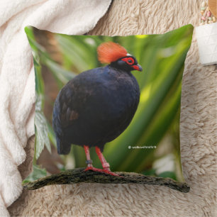 Profile of a Roul-Roul Crested Wood Partridge Cushion
