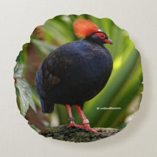 Profile of a Roul-Roul Crested Wood Partridge Round Cushion