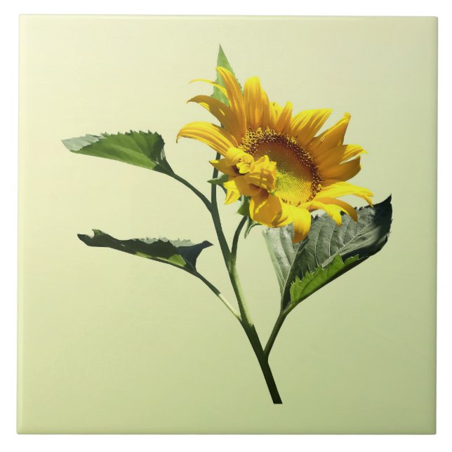 Profile of a Sunflower Tile (Front)
