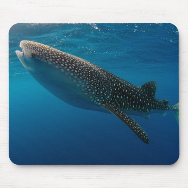 Profile of a whale shark, Indonesia Mouse Pad (Front)