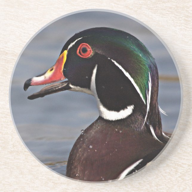 Profile of A Wood duck Coaster (Front)