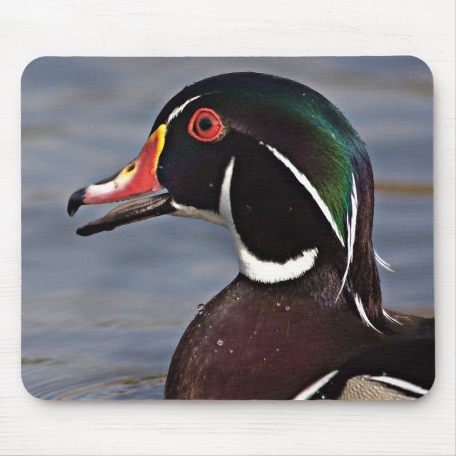 Profile of A Wood duck Mouse Pad (Front)