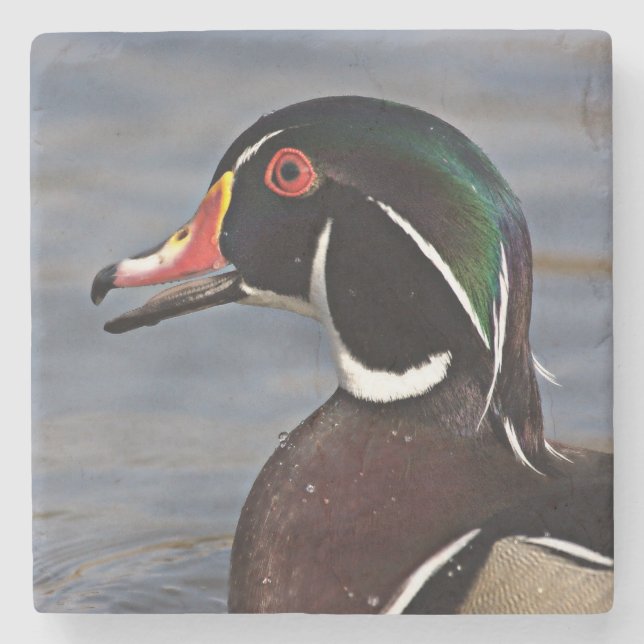 Profile of A Wood duck Stone Coaster (Front)