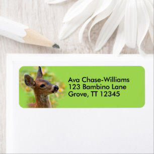 Profile of a Young Black-Tailed Deer Return Address Label