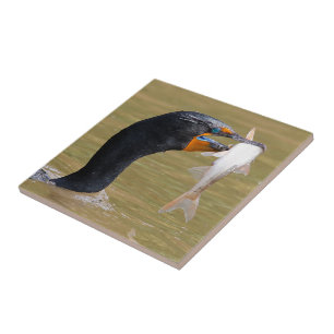 Profile of an Adult Double-Crested Cormorant Ceramic Tile