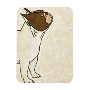 Profile of French Bulldog Looking Up Magnet