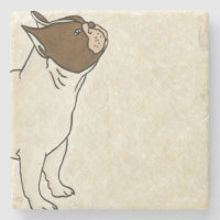 Profile of French Bulldog Looking Up