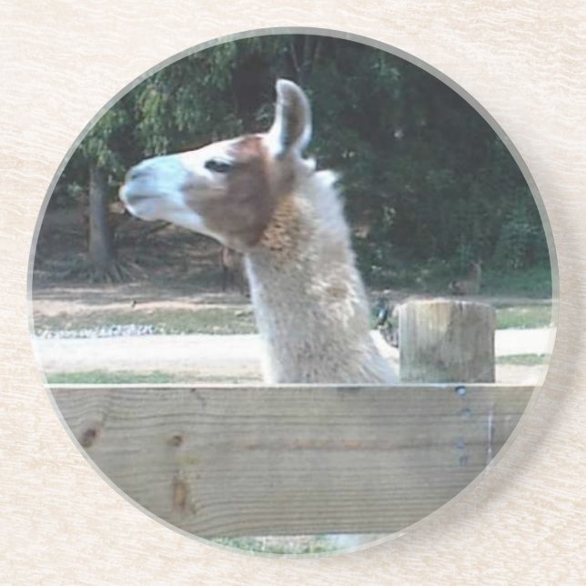 Profile of Llama Coaster (Front)