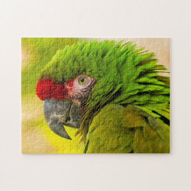 Profile of macaw at Santa Barbara Zoo Jigsaw Puzzle (Horizontal)