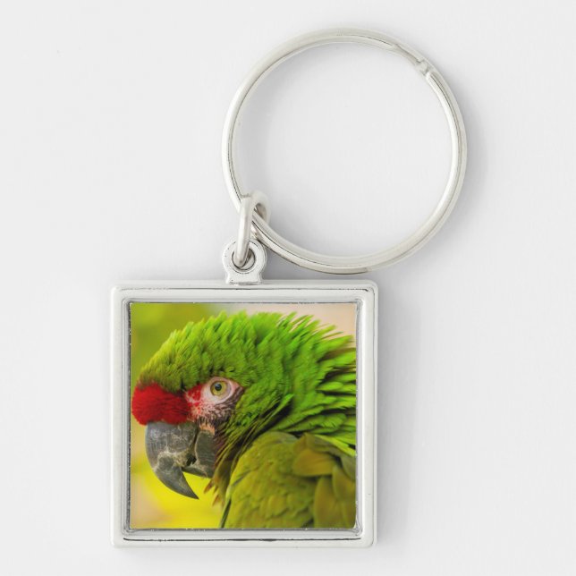 Profile of macaw at Santa Barbara Zoo Key Ring (Front)