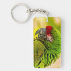 Profile of macaw at Santa Barbara Zoo Key Ring