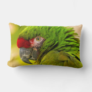 Profile of macaw at Santa Barbara Zoo Lumbar Cushion