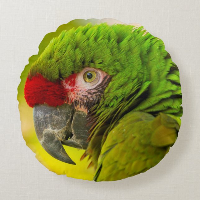 Profile of macaw at Santa Barbara Zoo Round Cushion (Front)