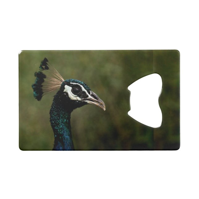 Profile of Peacock  (Front (Horizontal))