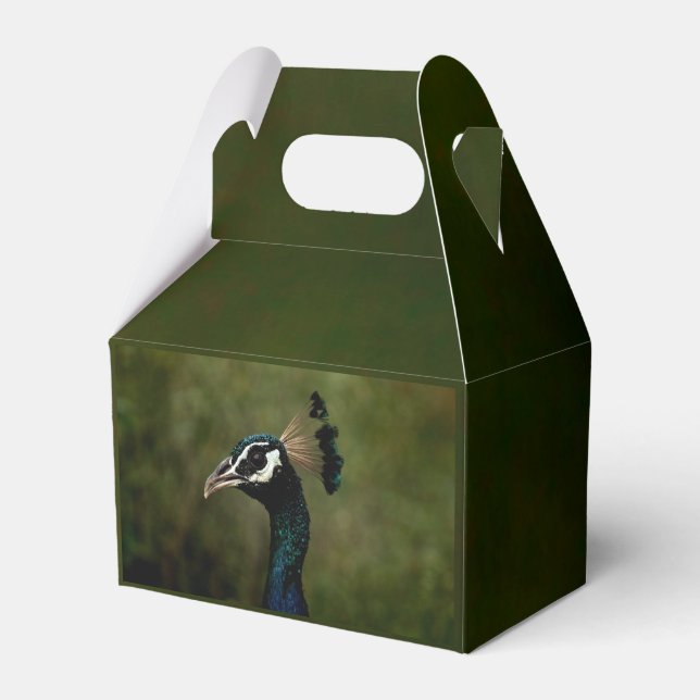 Profile of Peacock  Favour Box (Front Side)