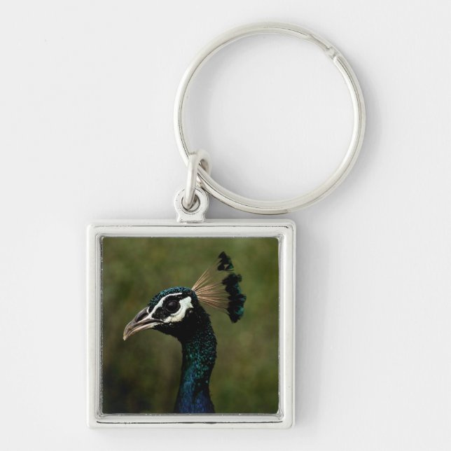 Profile of Peacock  Key Ring (Front)