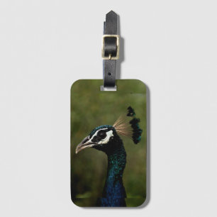 Profile of Peacock Luggage Tag