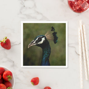 Profile of Peacock  Napkin