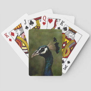 Profile of Peacock Playing Cards
