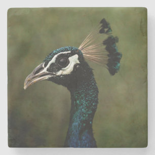 Profile of Peacock  Stone Coaster