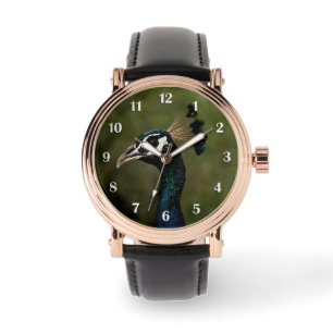 Profile of Peacock White Numbers Watch