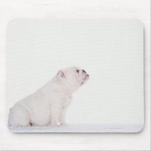 Profile of White Bulldog Mouse Pad
