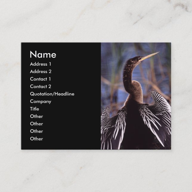 profile or business card, anhinga card (Front)