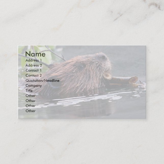 profile or business card, beaver business card (Front)