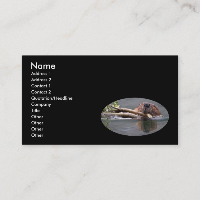 profile or business card, beaver card (Front)