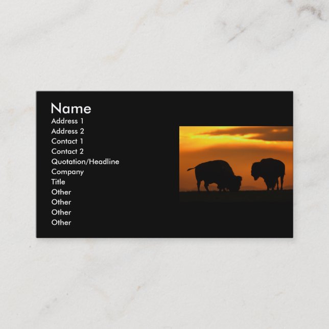 profile or business card, bison business card (Front)