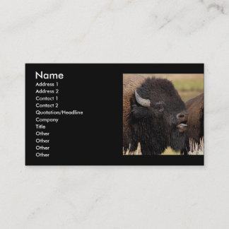 profile or business card, bison grunting card