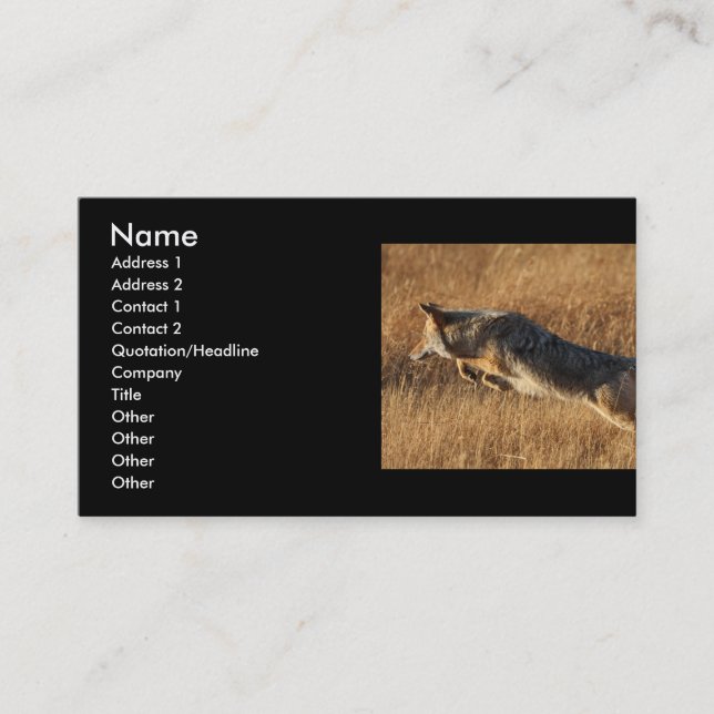 profile or business card, coyote jumping business card (Front)