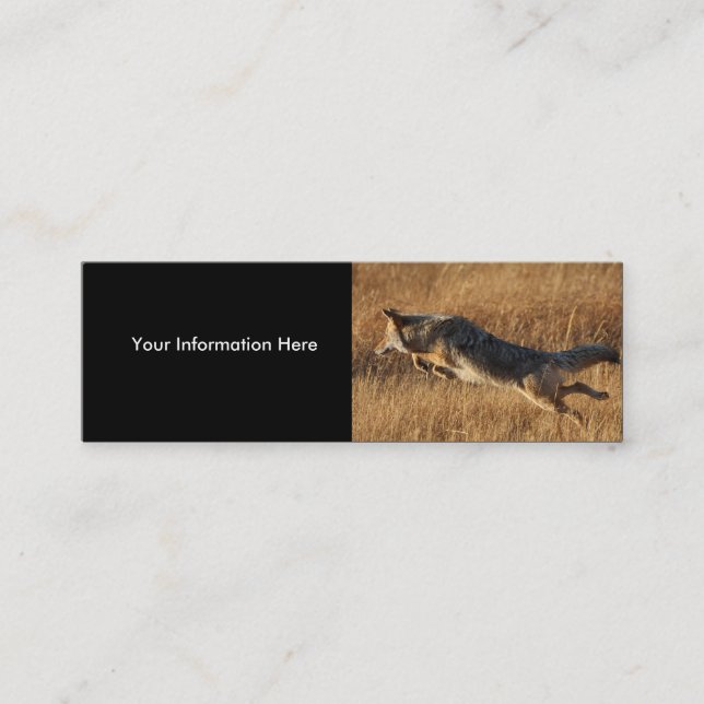 profile or business card, coyote jumping mini business card (Front)