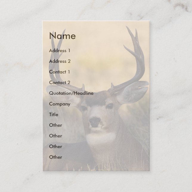 profile or business card, deer business card (Front)