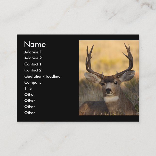 profile or business card, deer card (Front)