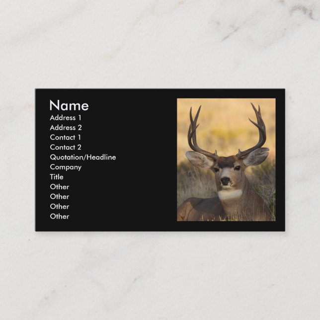 profile or business card, deer card (Front)