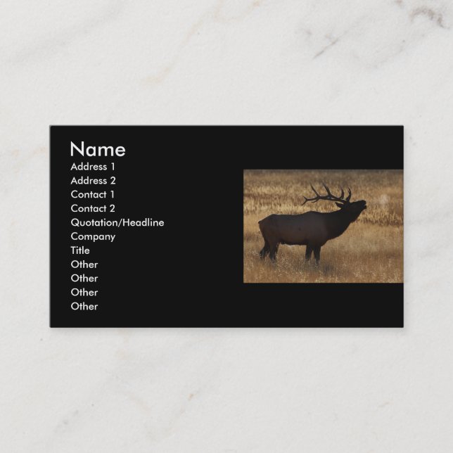 profile or business card, elk bugle business card (Front)