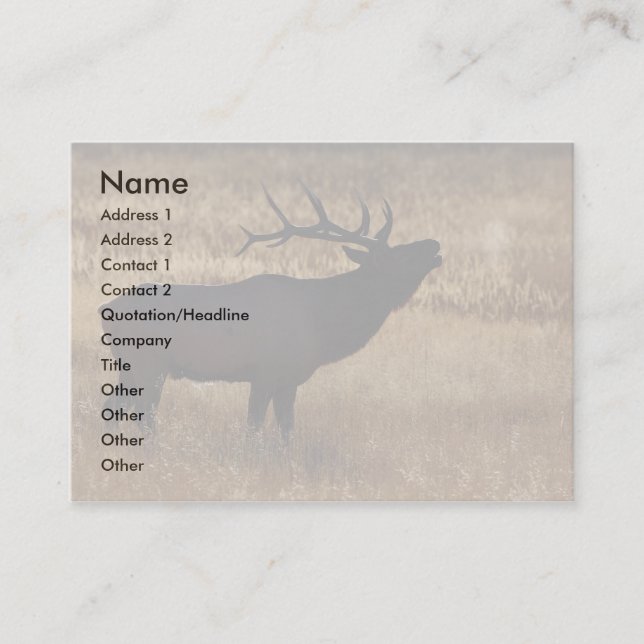 profile or business card, elk bugle card (Front)